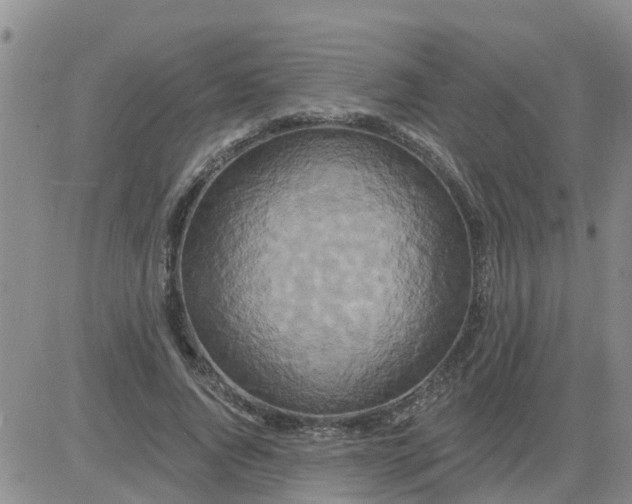 X0000084020736200703022056