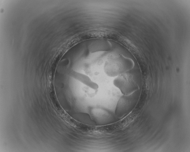 X0000084020737200703022056