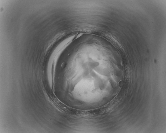 X0000084020738200703022056