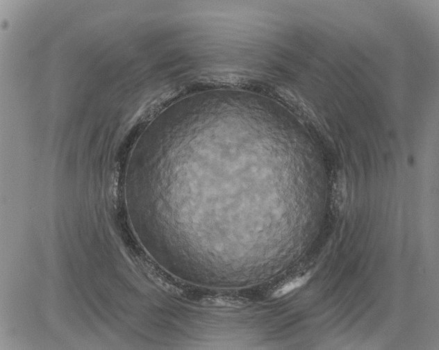 X0000084020739200703022056