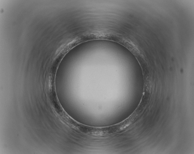 X0000084020740200703022056