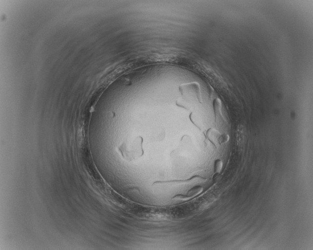 X0000084020741200703022056