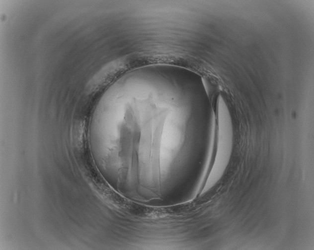 X0000084020742200703022056