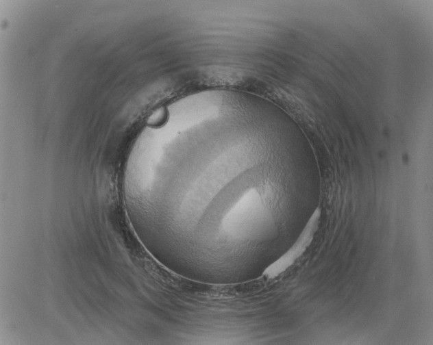 X0000084020743200703022056