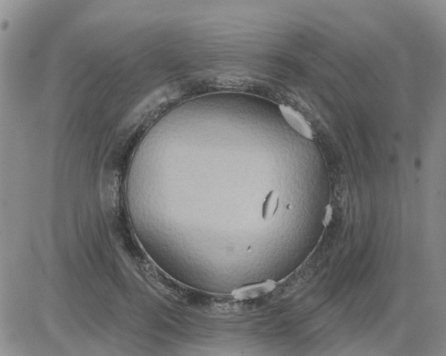 X0000084020744200703022056