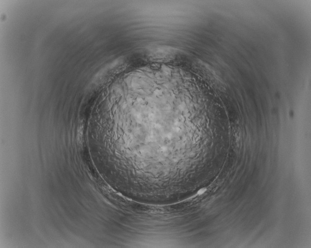 X0000084020745200703022056