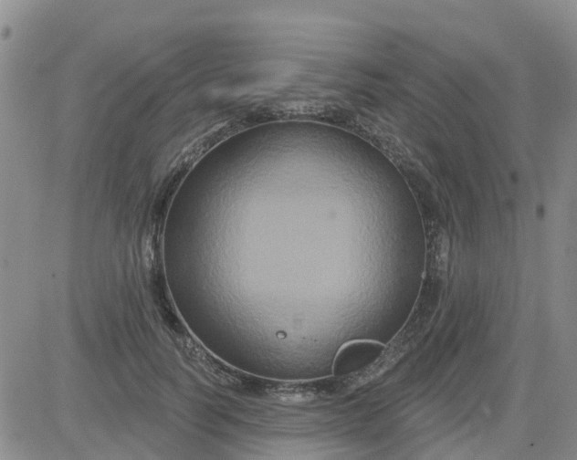 X0000084020746200703022056