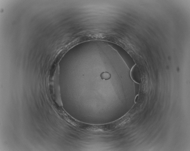 X0000084020747200703022056