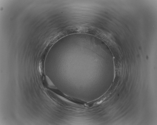 X0000084020748200703022056