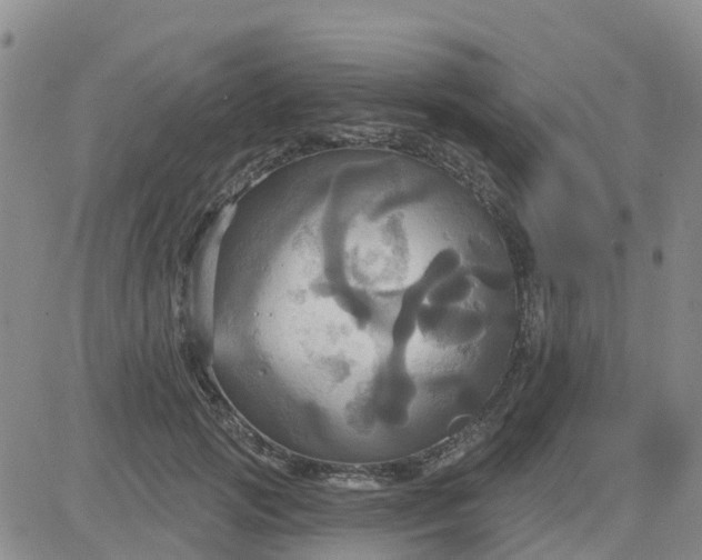 X0000084020749200703022056