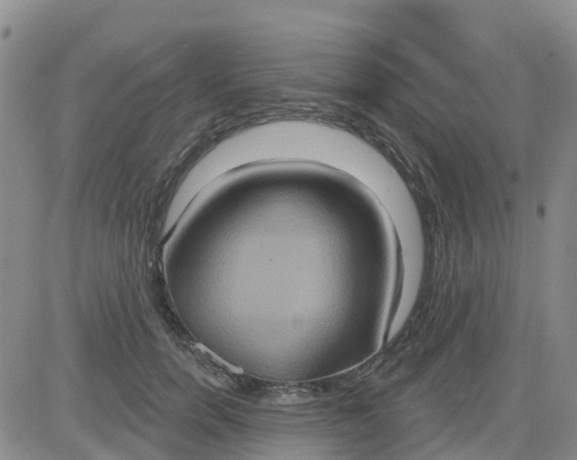 X0000084020750200703022056