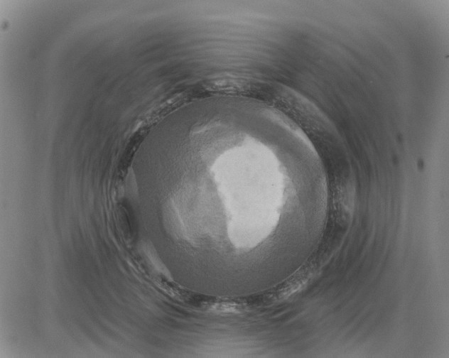 X0000084020751200703022056