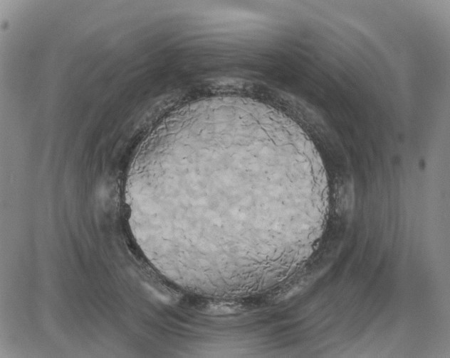 X0000084020753200703022056