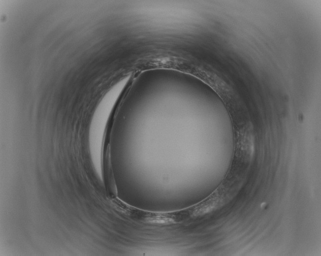 X0000084020754200703022056