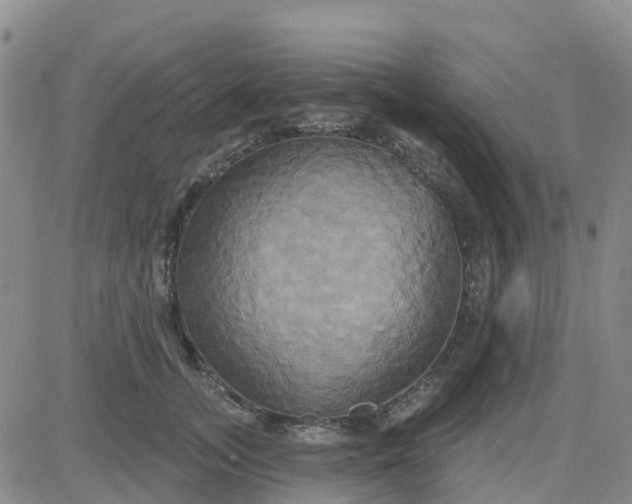 X0000084020755200703022056