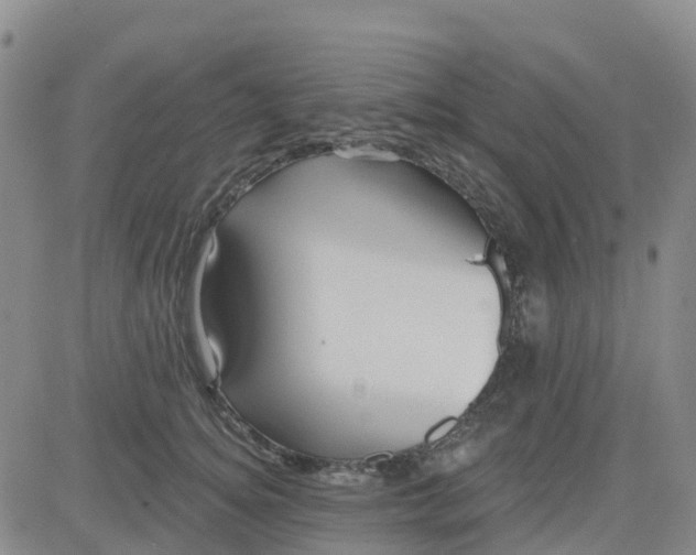 X0000084020756200703022056