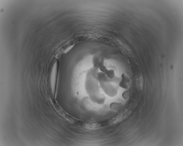 X0000084020757200703022057