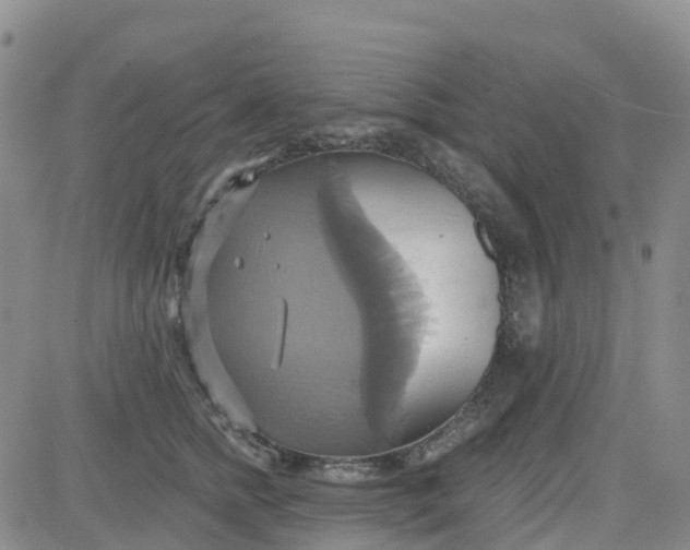 X0000084020758200703022057