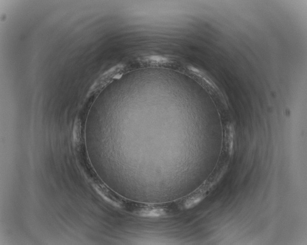 X0000084020760200703022057