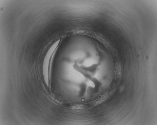 X0000084020761200703022057