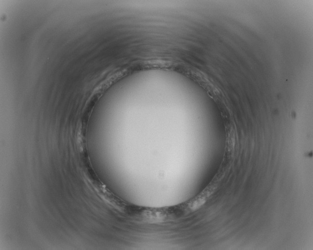 X0000084020764200703022057