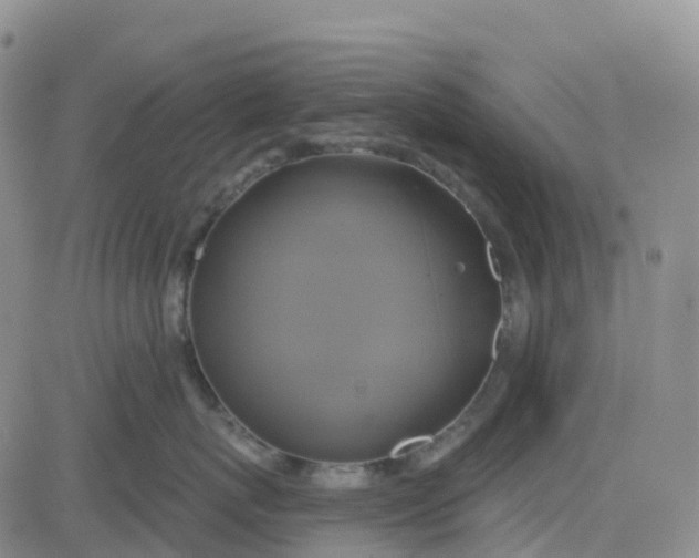 X0000084020767200703022057