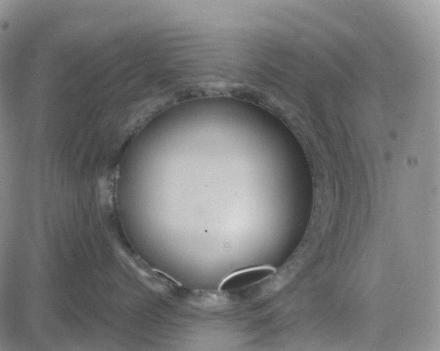 X0000084020768200703022057