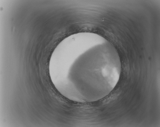 X0000084020769200703022056