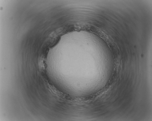 X0000084020770200703022056