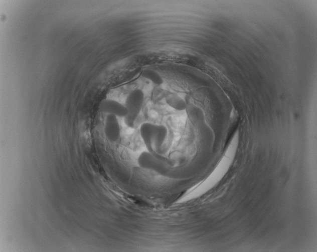 X0000084020771200703022056