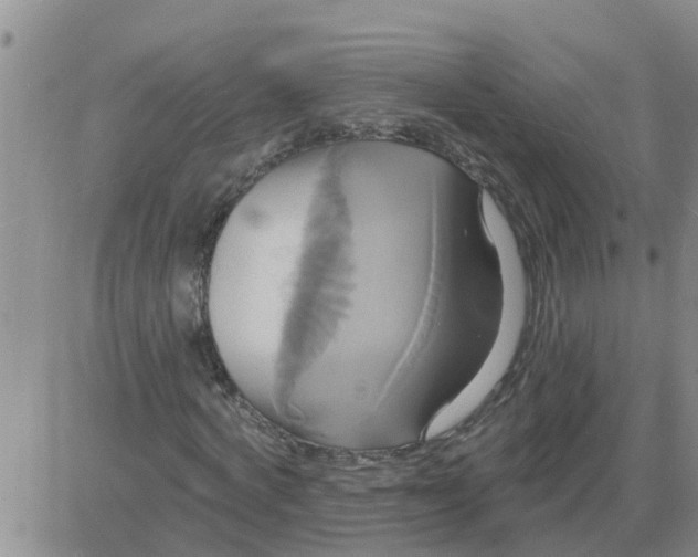 X0000084020772200703022056