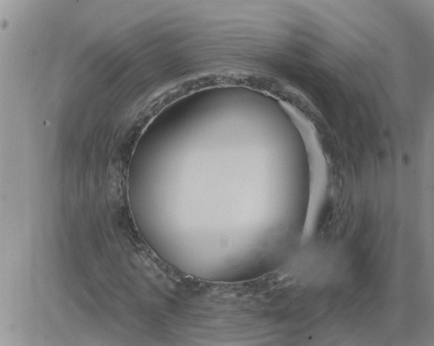 X0000084020773200703022056