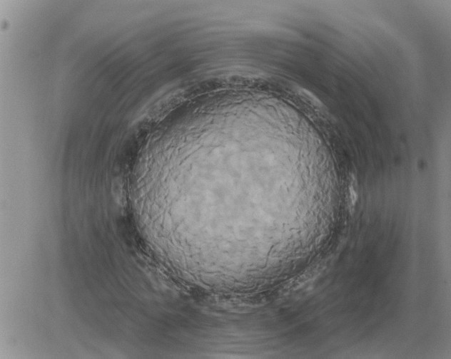 X0000084020774200703022056