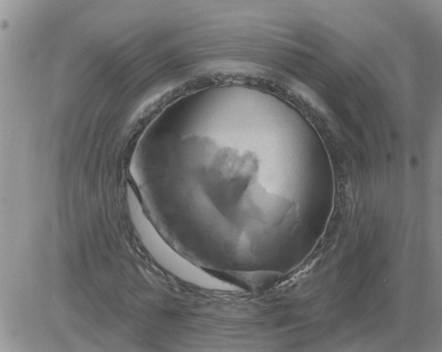 X0000084020775200703022056