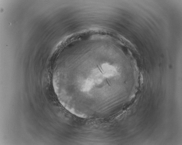 X0000084020776200703022056