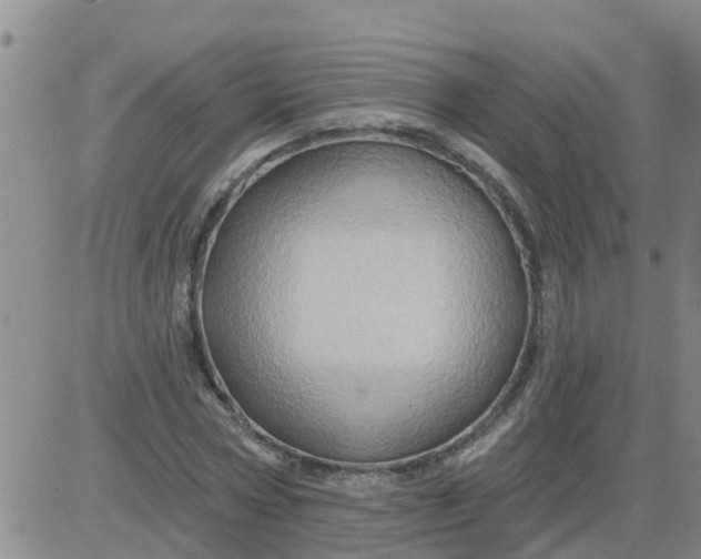 X0000084020778200703022056