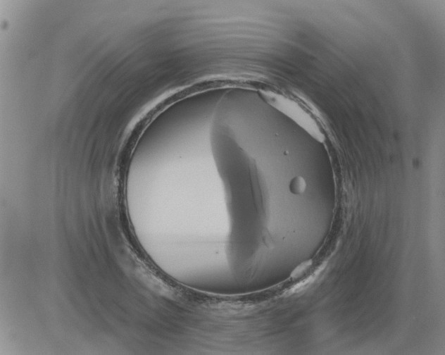 X0000084020779200703022056