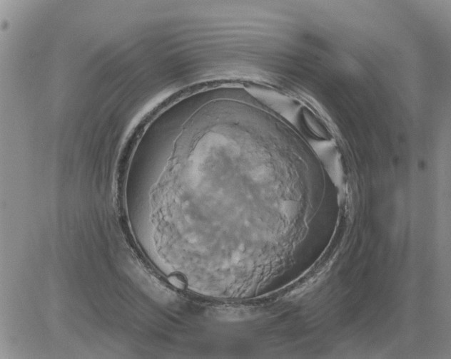 X0000084020780200703022056