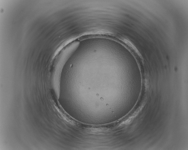 X0000084020781200703022056