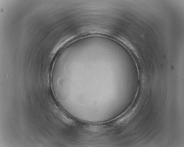 X0000084020782200703022056