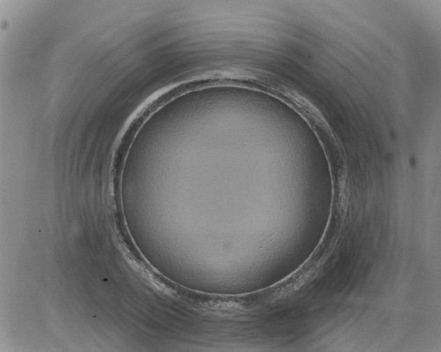 X0000084020784200703022056