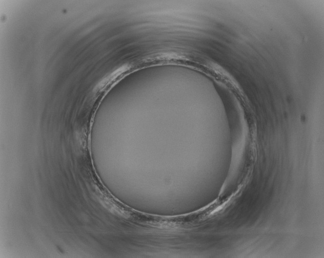 X0000084020785200703022056