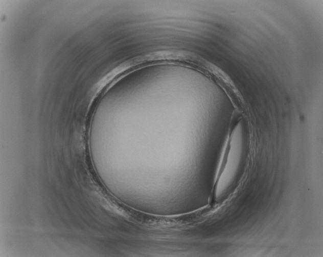 X0000084020786200703022056