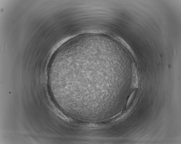 X0000084020787200703022056