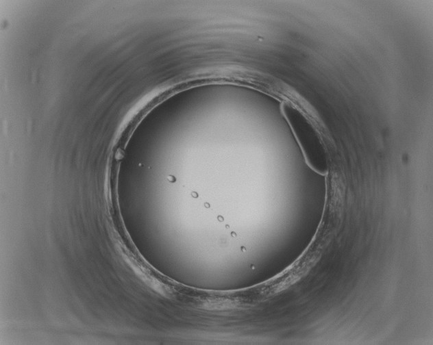 X0000084020788200703022056