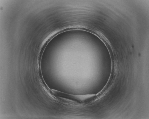 X0000084020789200703022056