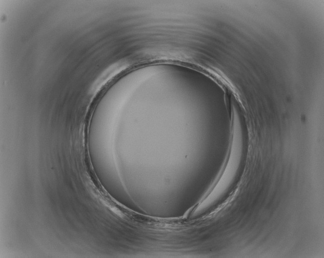 X0000084020790200703022056