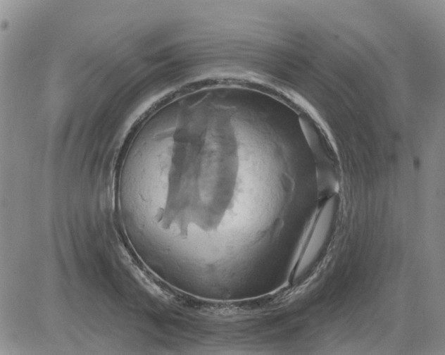 X0000084020791200703022056