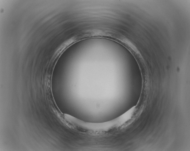 X0000084020793200703022055