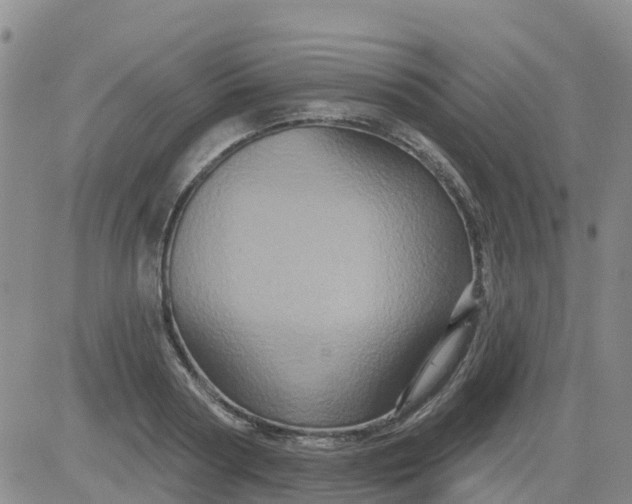 X0000084020794200703022055